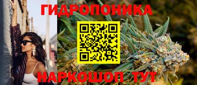 молекула духа Коммунар