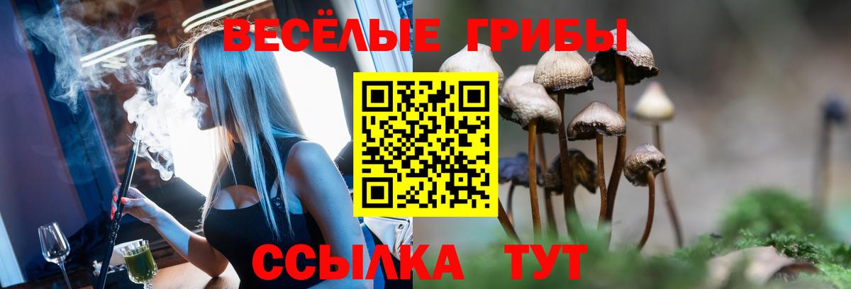 Галлюциногенные грибы MAGIC MUSHROOMS Елец